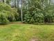 Image of a lush backyard with tall trees offering plenty of shade and privacy at 5109 Knaresborough Rd, Raleigh, NC 27612