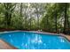 Inviting pool surrounded by a lush green forest at 612 Greenwood Rd, Chapel Hill, NC 27514
