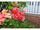 Lovely pink flowers surround the home's brick foundation and white porch railing at 71 Havistock Ct, Cameron, NC 28326