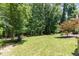 Grassy backyard with a young red maple tree at 90021 Hoey, Chapel Hill, NC 27517