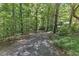 Mature trees line this community path at 101 Oyster Bay Ct # B2, Cary, NC 27513