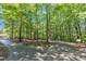 Explore a beautiful wooded walking trail with lush trees, natural beauty, and paved paths to explore at 101 Oyster Bay Ct # B2, Cary, NC 27513