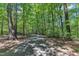Beautiful walking trail, a shady retreat surrounded by mature trees, perfect for peaceful walks at 101 Oyster Bay Ct # B2, Cary, NC 27513