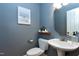 Powder room with a pedestal sink, framed art, a plant and a gray painted wall at 108 Ellsworth Pl, Chapel Hill, NC 27516