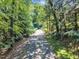 Long paved driveway leading to the home through a canopy of trees at 10909 Raven Rock Dr, Raleigh, NC 27614