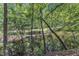 Scenic view of a tranquil pond surrounded by lush trees at 10909 Raven Rock Dr, Raleigh, NC 27614