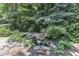 Backyard rock water feature pond surrounded by mature trees and landscaping at 10909 Raven Rock Dr, Raleigh, NC 27614