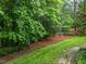 Landscaped backyard with lush greenery, trees, and well-maintained lawn at 12325 Amoretto Way, Raleigh, NC 27613