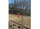 Backyard with a decorative bird feeder and mature trees in the distance at 132 Rockfall Way, Rocky Mount, NC 27803
