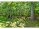 Shady backyard with a swing set, offering a fun and relaxing outdoor space for children and adults at 202 Oak Tree Dr, Chapel Hill, NC 27517
