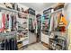Organized walk-in closet with ample shelving and rods for clothes, shoes, and accessories at 404 S Camellia St, Chapel Hill, NC 27516
