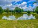 Scenic view of a pond with green grass and surrounding trees reflecting on the water at 623 Chambers Rd, Rougemont, NC 27572