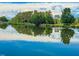 Calm pond reflecting the surrounding trees and blue sky, with serene water at 623 Chambers Rd, Rougemont, NC 27572