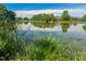 Scenic view of a tranquil pond reflecting trees, enhancing the property's natural beauty at 623 Chambers Rd, Rougemont, NC 27572