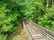 Picturesque outdoor walking trail surrounded by lush greenery and mature trees, perfect for nature walks at 1013 New Chester Ct, Apex, NC 27502