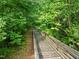 Scenic outdoor walking trail surrounded by lush greenery and mature trees, offering a peaceful nature experience at 1013 New Chester Ct, Apex, NC 27502