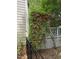 Side yard featuring climbing vines on a trellis, enhancing the outdoor space with natural beauty at 1025 Kingsway Dr, Apex, NC 27502