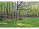 The backyard has a swing and a fence to divide your property with nature at 13 Crosswinds Estates Dr, Pittsboro, NC 27312