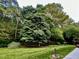 Lush green backyard with mature trees, a fence, and a birdbath at 13 Crosswinds Estates Dr, Pittsboro, NC 27312