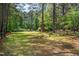 Beautiful backyard with mature trees and lush green grass at 1608 New Hill Olive Chapel Rd, Apex, NC 27502