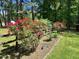 Garden in the backyard with a fence and mature plants at 1608 New Hill Olive Chapel Rd, Apex, NC 27502