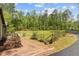 Expansive backyard featuring green lawn and a line of mature trees along the rear property line at 237 Jason Way, Youngsville, NC 27596