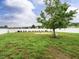 Expansive backyard with lush green grass, bordered by a white fence and featuring a lovely tree at 253 Middle Landing Dr, Smithfield, NC 27577