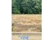 Cleared residential lot ready for new construction with trees in the background at 263 Hopewell Branch Ct, Smithfield, NC 27577