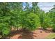 Beautiful backyard filled with lush green trees creating a private, natural setting at 2633 Beckwith Rd, Apex, NC 27523