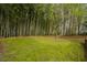 Spacious lawn backyard features bamboo and a tall tree line for privacy at 318 Tillamook Dr, Wake Forest, NC 27587