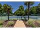 Scenic community tennis court framed by palm trees, showcasing a well-maintained recreational amenity at 4038 Carpenter Pond Rd, Durham, NC 27703