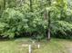 View of lush greenery in the backyard at 4646 Fawnbrook Cir, Raleigh, NC 27612