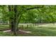 Picture of a tree swing hanging from a lush tree in this scenic and expansive yard at 5308 Stableview Ct, Holly Springs, NC 27540