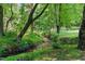 A small creek flows through lush green forest, enhancing the natural beauty of the property at 5308 Stableview Ct, Holly Springs, NC 27540