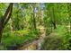 Tranquil creek cutting through a verdant forest, showcasing the property's serene landscape at 5308 Stableview Ct, Holly Springs, NC 27540