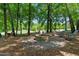 Outdoor fire pit surrounded by mature trees and seating, creating a cozy and inviting entertainment space at 5308 Stableview Ct, Holly Springs, NC 27540