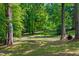 Scenic pond surrounded by a lush forest, offering privacy and picturesque views at 5308 Stableview Ct, Holly Springs, NC 27540