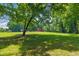 Expansive green field with mature trees and a red barn, showcasing serene rural landscape at 5308 Stableview Ct, Holly Springs, NC 27540