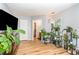 Bright bedroom with hardwood floors, filled with sunlight from the window and decorated with numerous healthy green plants at 628 Kankakee Ct, Knightdale, NC 27545