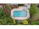 Aerial view of in-ground pool featuring well-maintained landscaping and outdoor seating area at 1004 Taywood Way, Apex, NC 27502