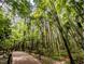 Scenic view of the tree-lined walking trail through the woods. Perfect for a nature hike at 1004 Taywood Way, Apex, NC 27502