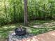 Backyard featuring a fire pit with seating and a tire swing hanging from a tree at 1514 John Jones Rd, Bahama, NC 27503