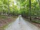 Long gravel driveway leading through a tranquil, wooded area at 1514 John Jones Rd, Bahama, NC 27503