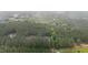 Overhead view showcasing homes nestled within a dense forest, offering privacy at 1850 Willie Pace Rd, Burlington, NC 27217