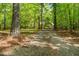 Long gravel driveway leading to a home surrounded by lush, mature trees at 2819 Ellis Chapel Rd, Bahama, NC 27503