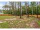 Large fenced backyard with tall trees and a grassy lawn at 297 Sexton Ln, Wendell, NC 27591