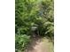 Secluded path surrounded by lush greenery, leading to a quiet street at 3125 Stanford Dr, Durham, NC 27707