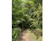 Pathway leads to street, encompassed by flourishing foliage at 3125 Stanford Dr, Durham, NC 27707