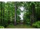 Backyard features a view of the lake, framed by an archway between mature trees and lush foliage at 3750 Mebane Rogers Rd, Mebane, NC 27302