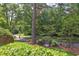 Beautifully landscaped front yard featuring mature trees and meticulously maintained greenery at 800 E Forest Hills Blvd, Durham, NC 27707